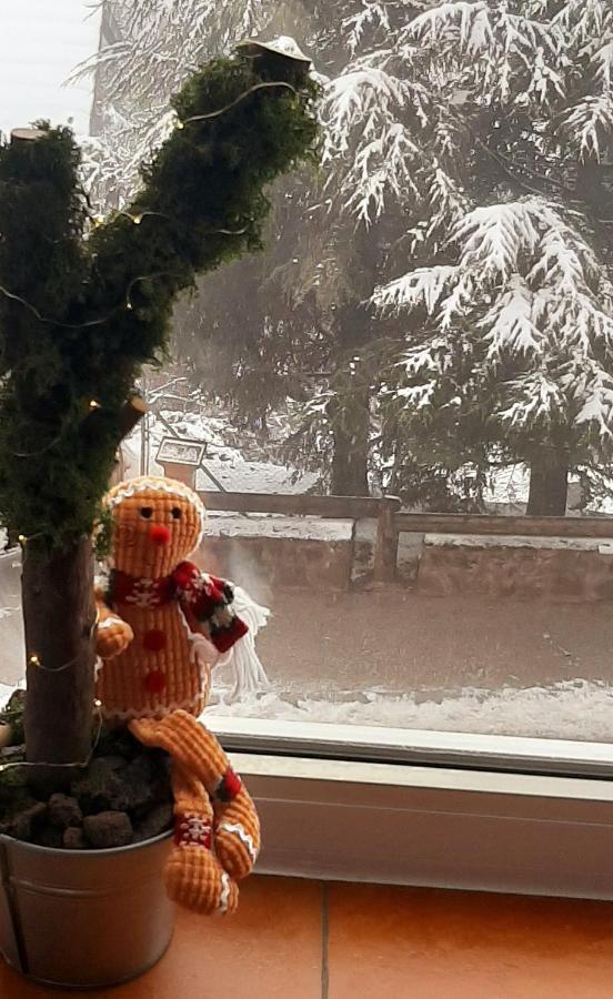 Estudio Snowport Σιέρρα Νεβάδα Εξωτερικό φωτογραφία